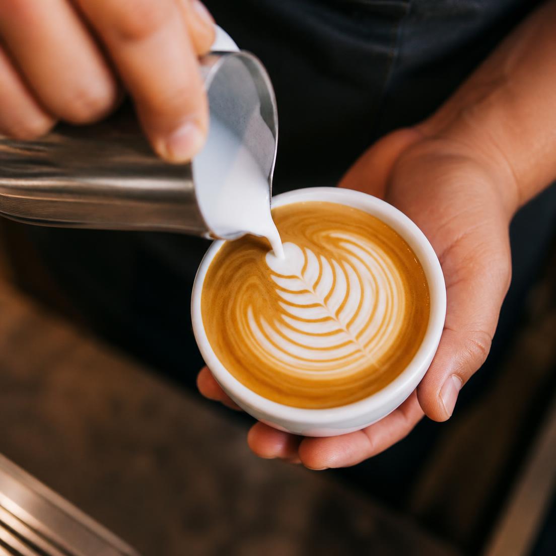 Barista pouring rosetta latte art into a white cup